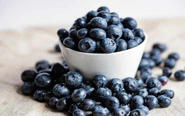 The Best Foods To Calm A Dog For Bonfire Night, Blueberries