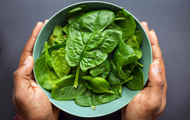 The Best Foods To Calm A Dog For Bonfire Night, Leafy Greens