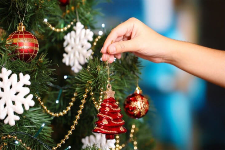 How To Have A Cracking Christmas With Your Furry Friend: Decorating The Tree