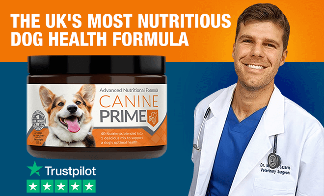 Canine Prime See Real Reviews From UK Dog Owners Your Pet Nutrition 